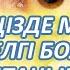 КӨЗІҢІЗДЕГІ БЕЛГІЛЕР МЫНА АУРУЛАРДАН ХАБАР БЕРЕДІ Сарғайса Жас ақпаса Қызарса Керек арнасы