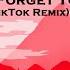 Can T Remember To Forget You TikTok Remix