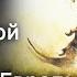 История современной фауны Восточной Европы Лекции по палеонтологии Вадим Титов Научпоп