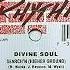 Divine Soul Search N Higher Ground D J Chocos G Dub Mix