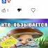 Кто обзывается тот сам так называется