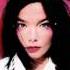 Bjork I Miss You Post