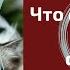 Что он чувствует ко мне сегодня