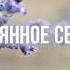 ПОКАЯННОЕ СЕРДЦЕ Ежедневное христианское чтение 23 августа 2024