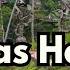 Experience Bali Alas Harum Rice Terraces Bali Swing Adventure