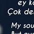 Serhat Durmus Hislerim Turkish English Lyrics Belyrics