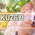 Gites Hima Inch Kuzeyi Tigran Asatryan NEW 2017 HIT SONG