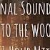 Life Is Strange 2 Into The Woods 1 Hour Mix