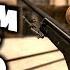 ОБЩАЮСЬ С ПОДПИСЧИКАМИ ВЕСЕЛЫЙ СТРИМ ЗАХОДИ CS GO
