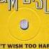 Peter Allen Don T Wish Too Hard US Promo 12 Jim Burgess Remix Long Version