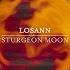 Losann Sturgeon Moon Stan Kolev Remix