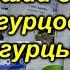 Огурец 1 по рейтингу зрителей канала Сад огород своими руками
