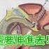男性攝護腺 女生Ｇ點 攝護腺按摩 大解密 醫示範 這樣按壓 才有效 呂謹亨醫師 祝你健康