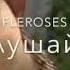 Мы очень тупые