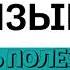 ИТАЛЬЯНСКИЙ ЯЗЫК ДЛЯ НАЧИНАЮЩИХ 50 ФРАЗ А1 ПОЛЕЗНЫЕ ФРАЗЫ МОЯ ИТАЛИЯ