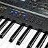 Қыз бала гүл Cover Ершат Болатұлы Yamaha Psr Sx900