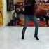 Aaja Nachle Mix Song Choreography By Robin Sir