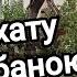 Купив ще одну хату в селі Дуже занедбана ділянка Огляд будівель та території Кругом хащі і сміття