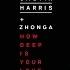 Calvin Harris How Deep Is Your Love Michael Zhonga Cover