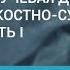 Доцент Лукина О В Синдромная лучевая диагностика заболеваний костно суставного аппарата Часть I