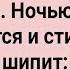 Как Дед с Бабкой По Ночам Хулиганил Сборник свежих Анекдотов Юмор