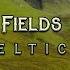 From The Fields Of Gallia Epic Celtic Metal