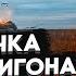 Готовятся новые пуски ШЕЙТЕЛЬМАН свидетель рассказал что происходит на полигоне Капустин Яр