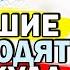 Бывшие не Уходят В Никуда