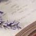 Lavender S Blue
