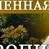 Как расшифровывать идеи художников Босх Моне Хант Фридрих