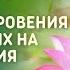 Тайны и Откровения для вставших на Путь Познания Магия Творения Вебинар 21 10 2023