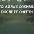 Сура 57 Аль Хадид Железо чтец Тарик Аль Хавас