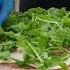Food F Foodlover Follow Foryou Foodie Fyp Funny Funnyvideo Foodblogger Foryourpage