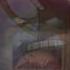 One Piece AMV Chopper Vs Kumadori Monster HD