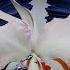 SCHILLER Free The Dragon Official Video