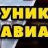 Аудиокнига ПОПАДАНЦЫ УНИКАЛЬНЫЙ АВИАТОР