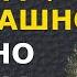 Мощнейшие цитаты Садхгуру которые перевернут ваше сознание Афоризмы и высказывания великих людей