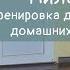 Пилатес Тренировка для девушек в домашних условиях