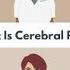 Cerebral Palsy CP Explained