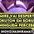Sumire Vai Despertar Mokuton Em Boruto Revelado Boruto