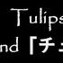 チューリップ Tulip Indigo La End Lyrics English Lyrics Japanese Lyrics