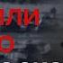 ВОЛКИ ЗАХВАТИ ДЕРЕВНЮ В ПОДМОСКОВЬЕ Специальный репортаж