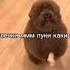 аааа спартак кушает какашки