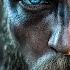 24 7 Nordic Ambience Viking Nordic Pagan Music Viking Music Live