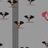 Dominions 6 National Overview EA Xibalba