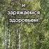 Пение соловья орнитология лечение Birds птицы ставрополь