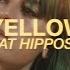 XANA YELLOW Live At Hipposonic