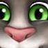 My Talking Tom Verison 1 0 2013