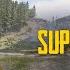 Superficial Sons Of The Forest