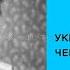 Короткие и Смешные Фразы со смыслом Подборка фраз 6 этосмешно